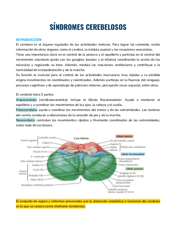 Miniatura del documento SINDROMES-CEREBELOSOS.pdf
