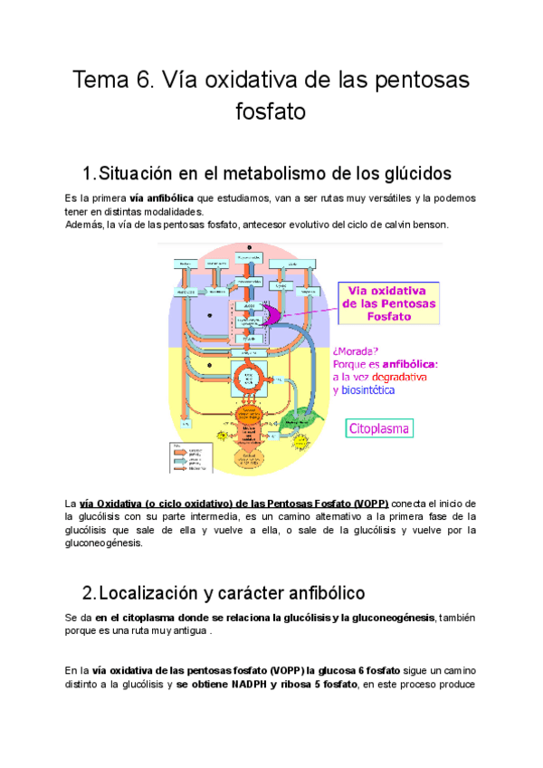 Miniatura del documento Tema-6.pdf