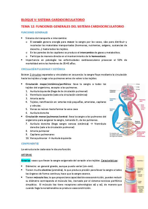 Miniatura del documento Tema-12.pdf