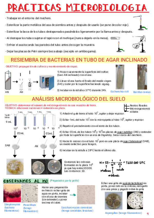 Miniatura del documento Practicas-Micro.pdf