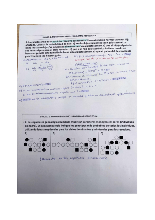 Miniatura del documento PROBLEMAS-UNIDAD-1.pdf