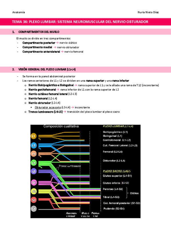 Miniatura del documento TEMA-36-Plexo-lumbar.pdf