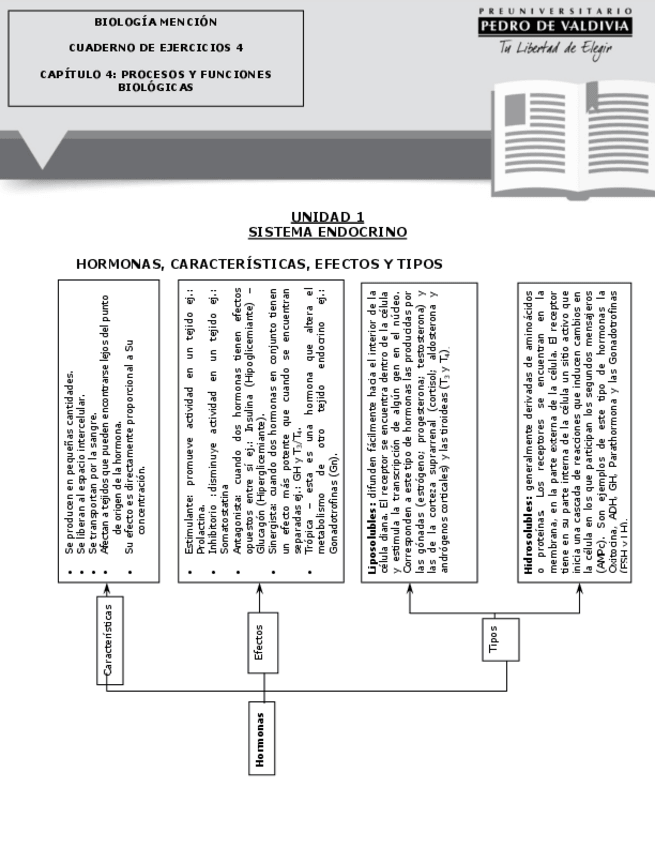 Miniatura del documento Sist-endocrino-Prueba-PAES-Biologia.pdf