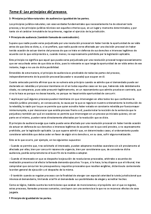 Miniatura del documento Tema-6-Los-principios-del-proceso.pdf