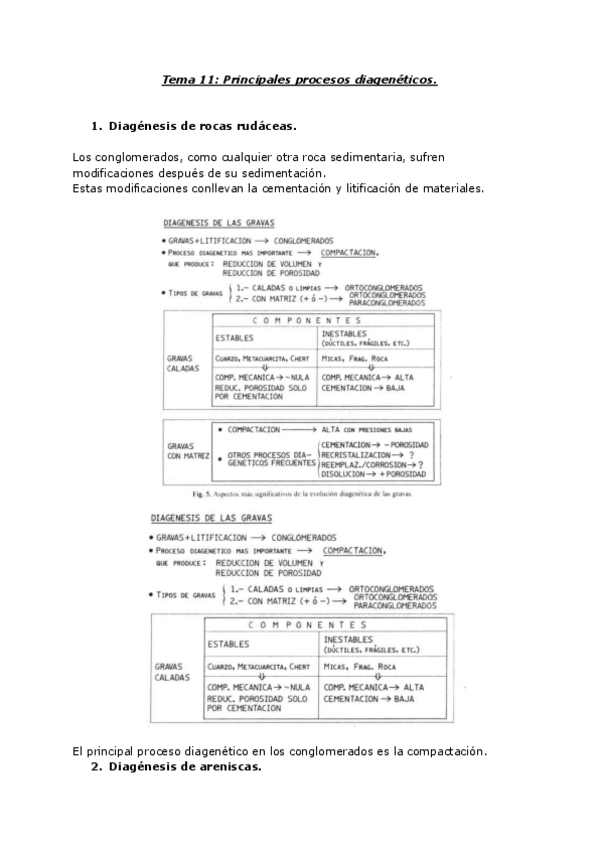 Miniatura del documento T11.pdf