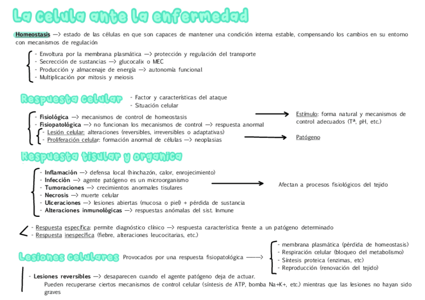 Miniatura del documento ESQUEMAS-T4.pdf