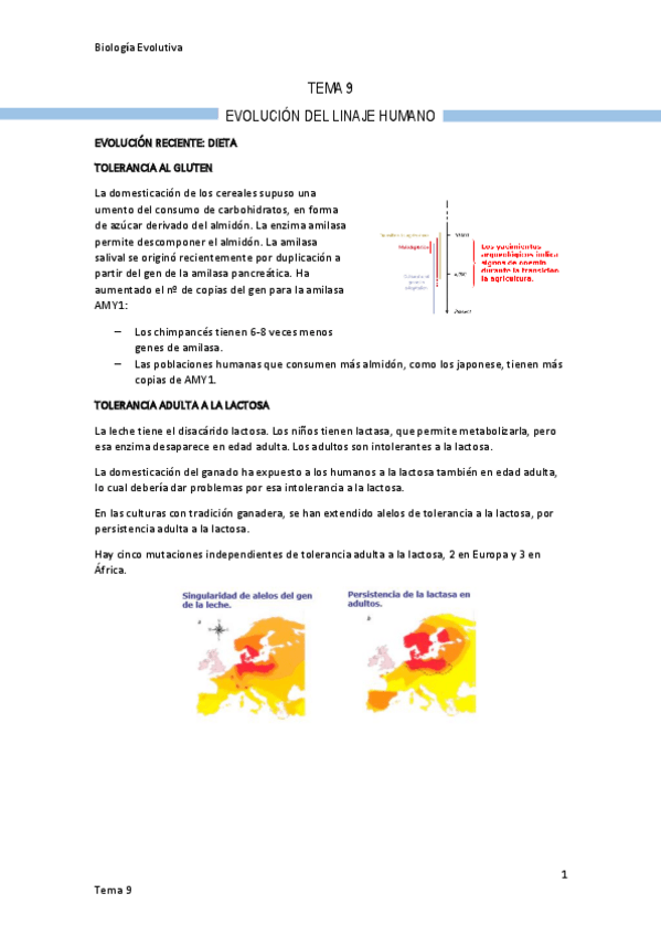 Miniatura del documento Tema-9-Evolucion-del-linaje-humano.pdf