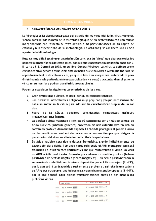 Miniatura del documento TEMA-4.pdf