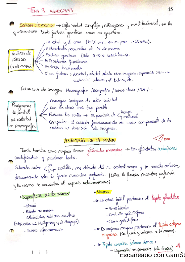 Miniatura del documento T.pdf