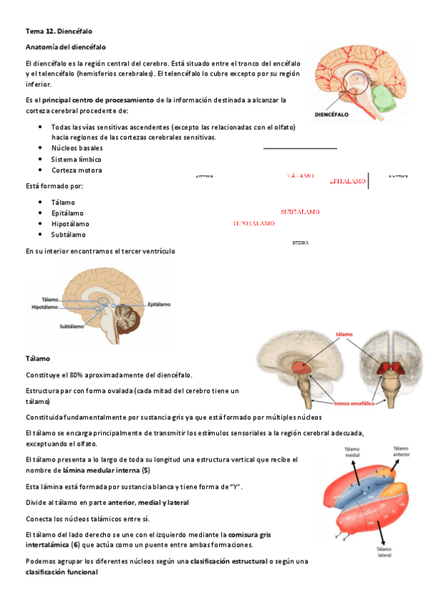 Miniatura del documento Tema-12.pdf
