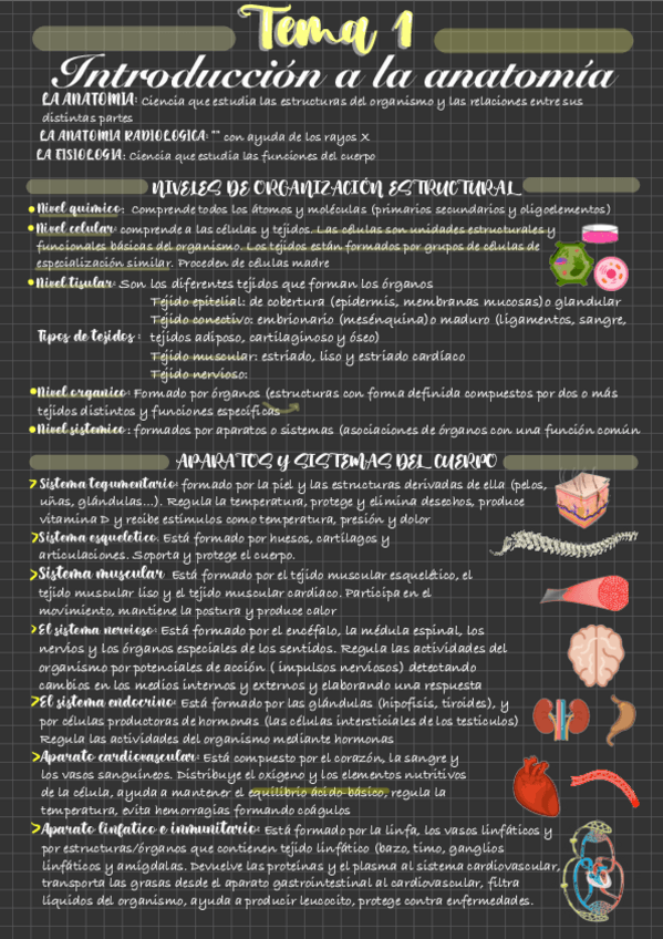 Miniatura del documento Tema-1.pdf