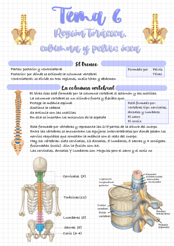 Miniatura del documento Tema-6.pdf