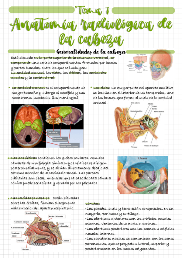 Miniatura del documento Tema-7.pdf