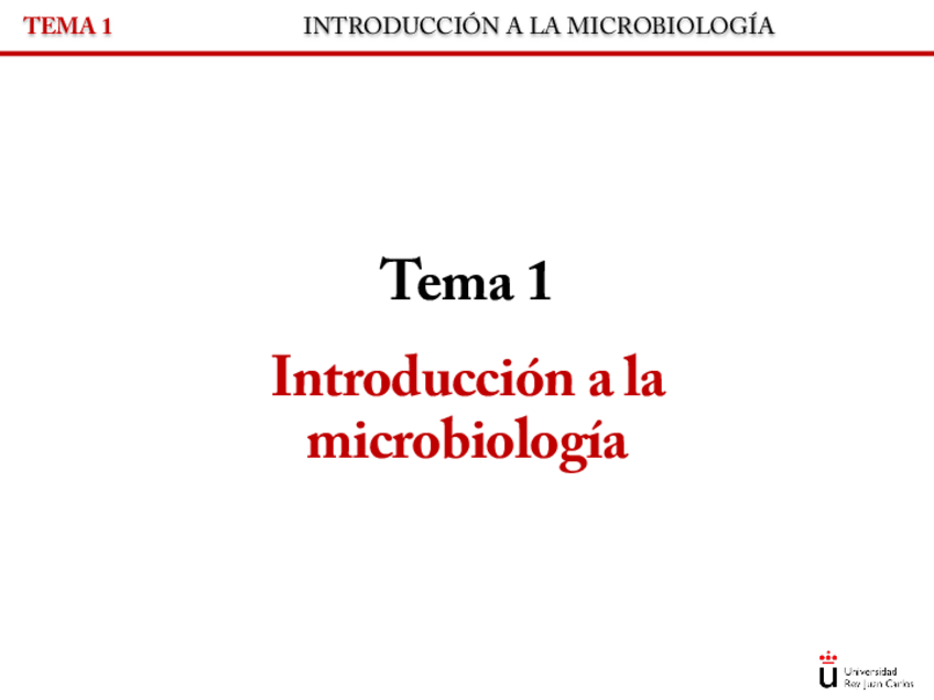 Miniatura del documento 1.pdf