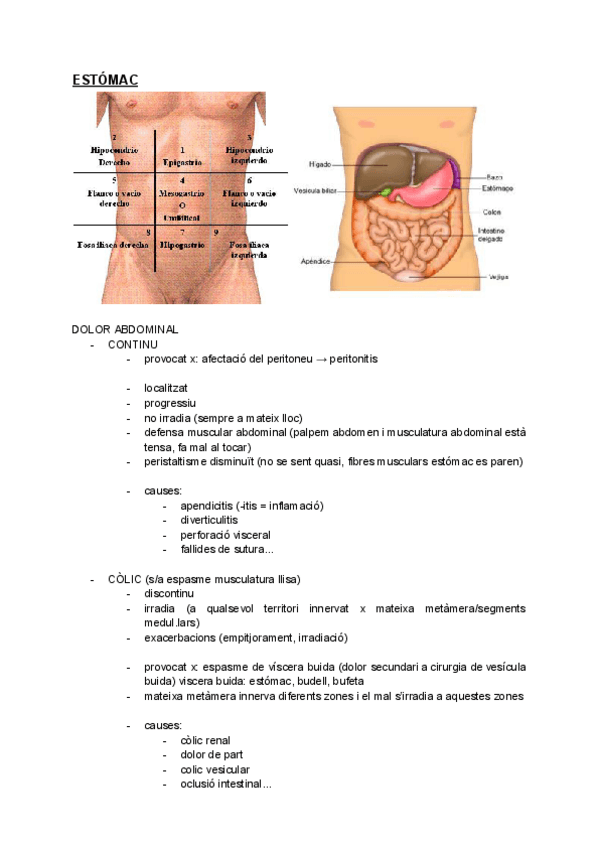 Miniatura del documento ESTOMAC.pdf