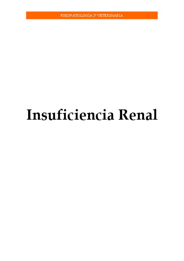 Miniatura del documento Insuficiencia-Renal.pdf