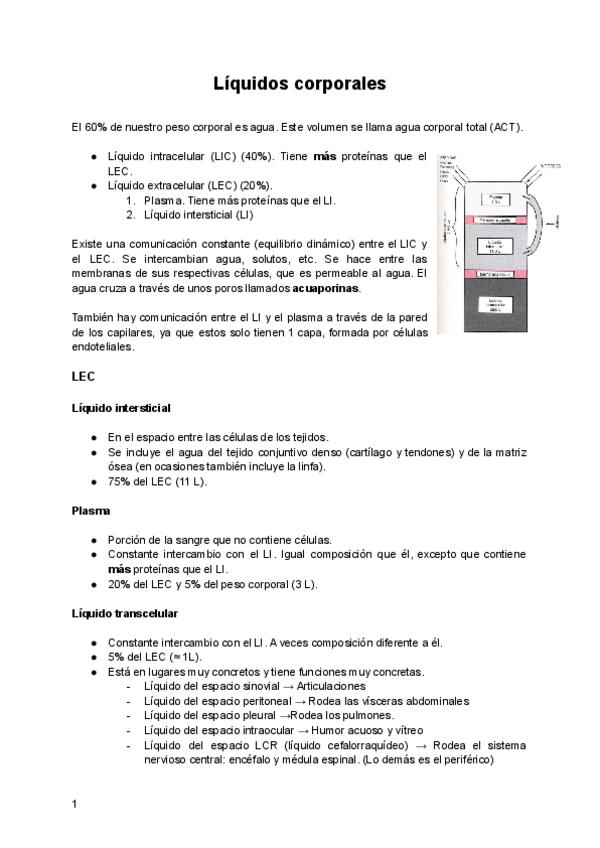 Miniatura del documento Liquidos-corporales.pdf