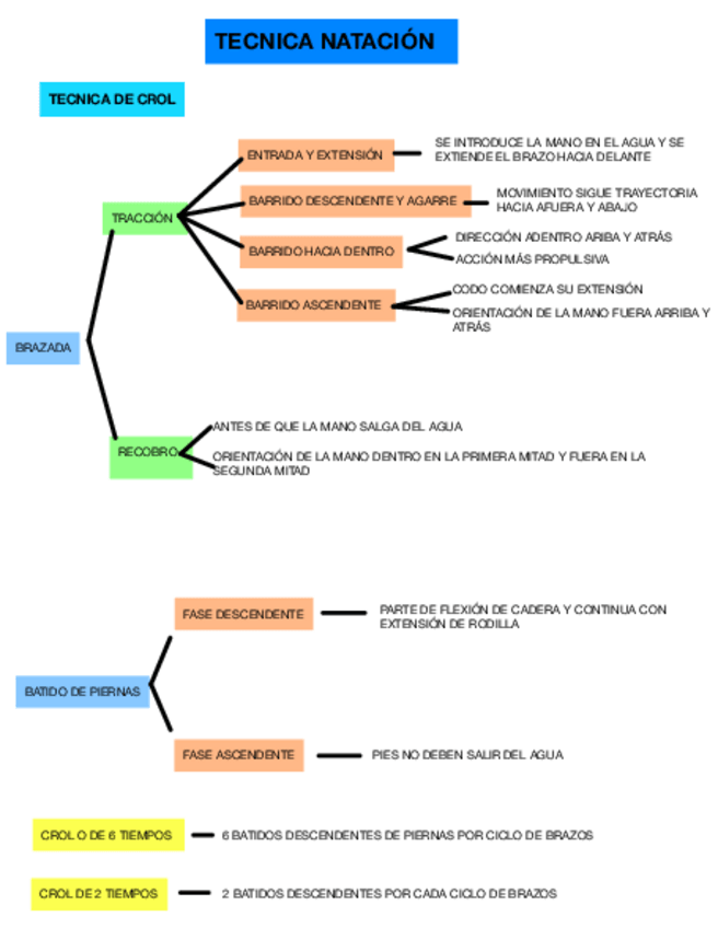 Miniatura del documento EXAMEN-DEPORTES-INDIVIDUALES.pdf