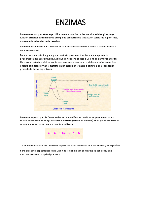 Miniatura del documento 2ENZIMAScompleto.pdf