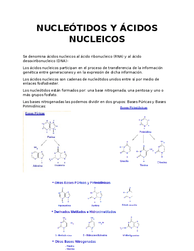 Miniatura del documento NUCLEÓTIDOS Y ÁCIDOS NUCLEICOS.docx