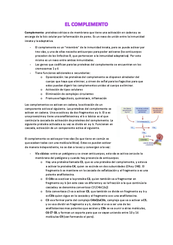 Miniatura del documento Tema-5.El complemento