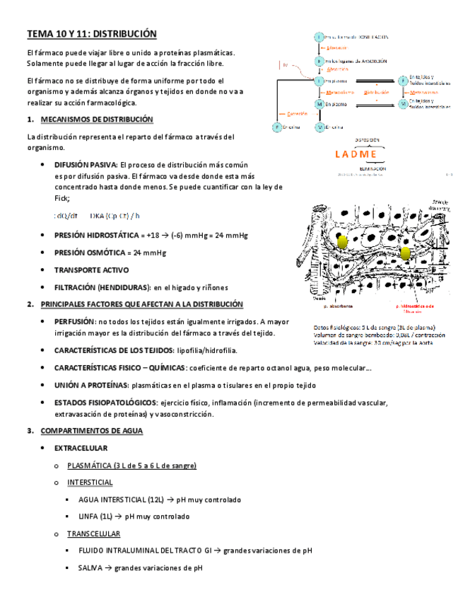 Miniatura del documento TEMA-10-Y-11.pdf