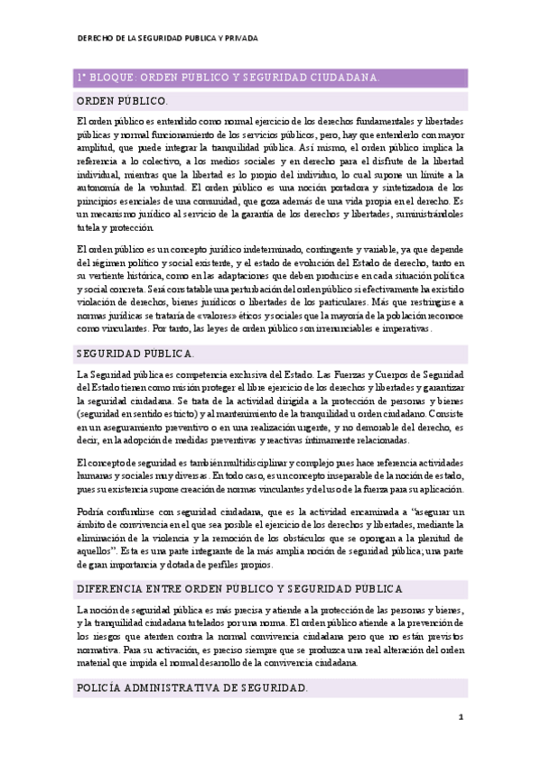 Miniatura del documento Derecho-seguridad.pdf