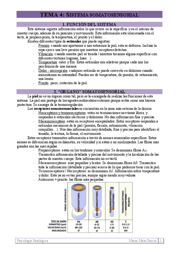 Miniatura del documento TEMA-4.pdf