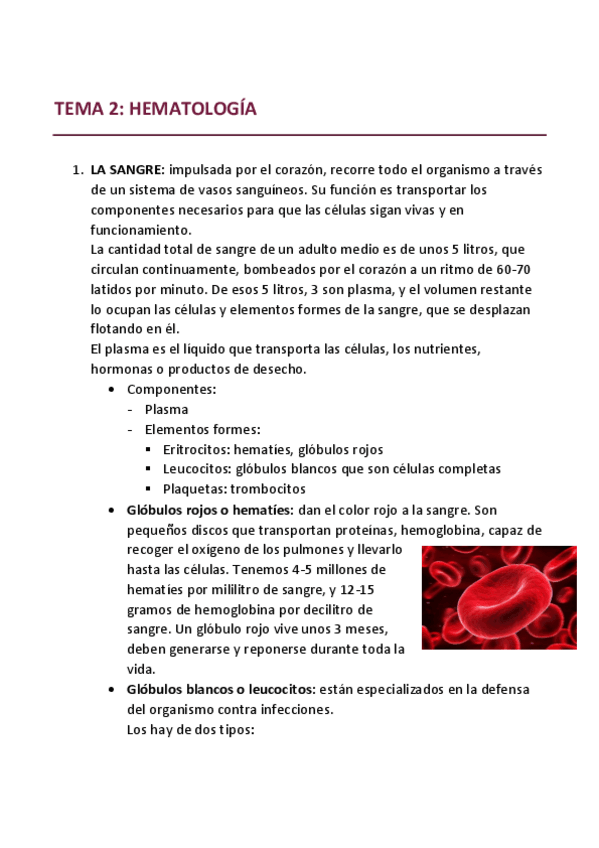 Miniatura del documento TEMA-2-.pdf