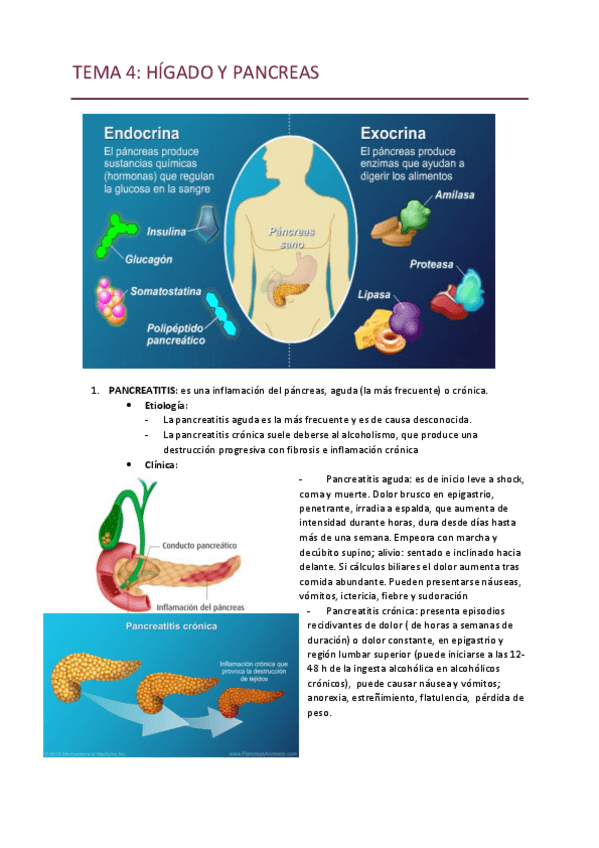 Miniatura del documento TEMA-4-.pdf
