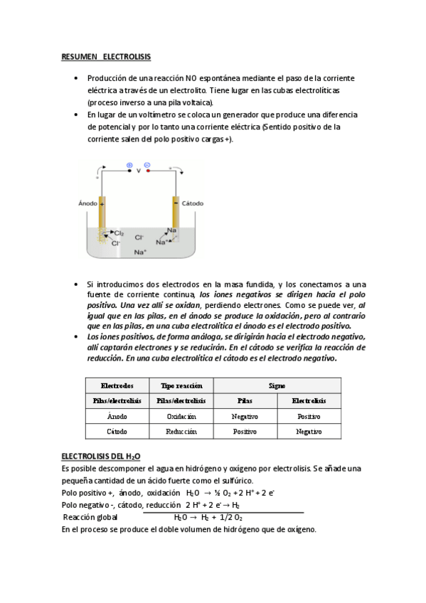 Miniatura del documento RESUMEN-ELECTROLISIS.pdf