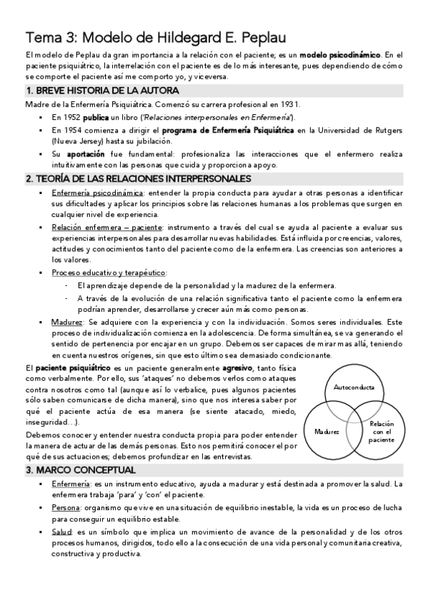 Miniatura del documento T3-Modelo-de-Hildegard-E.pdf