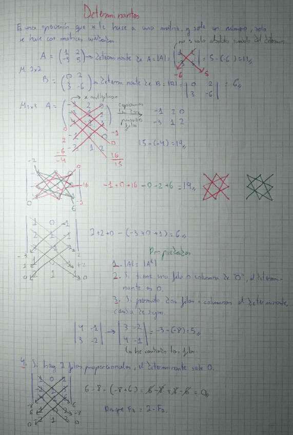 Miniatura del documento Determinantes.pdf