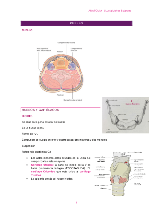Miniatura del documento T3-1CUELLO.pdf