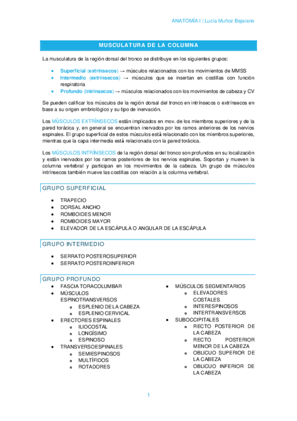 Miniatura del documento T2-3MUSCULATURA-DE-LA-COLUMNA.pdf