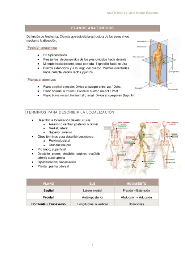 Miniatura del documento T1-PLANOS-ANATOMICOS.pdf