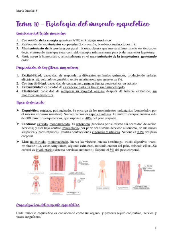 Miniatura del documento t10.pdf