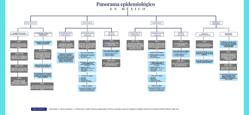 Miniatura del documento MAPA-Panorama-epidemiologico-en-Mexico.pdf
