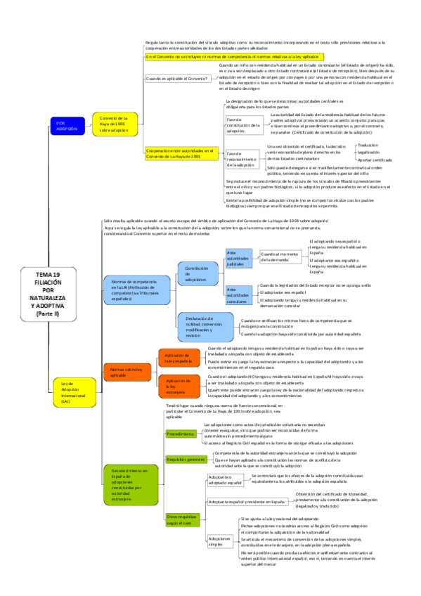 Miniatura del documento TEMA 19 FILIACION POR NATURALEZA Y ADOPTIVA (PARTE II).pdf