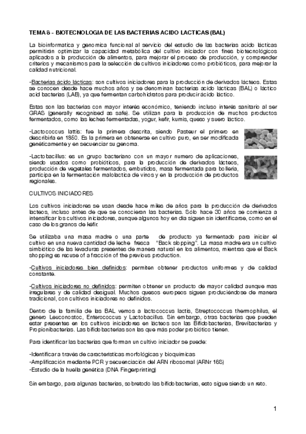 Miniatura del documento TEMA-8-BIOTECNOLOGIA-DE-LAS-BACTERIAS-ACIDO-LACTICAS-BAL-.pdf