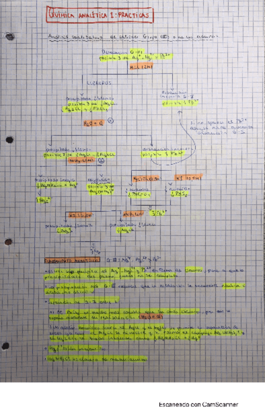 Miniatura del documento practicas-quimica-analitica-I.pdf