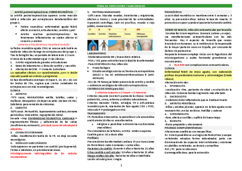 Miniatura del documento TEMA-10.pdf