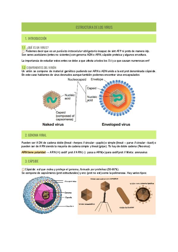 Miniatura del documento estructura-virus.pdf