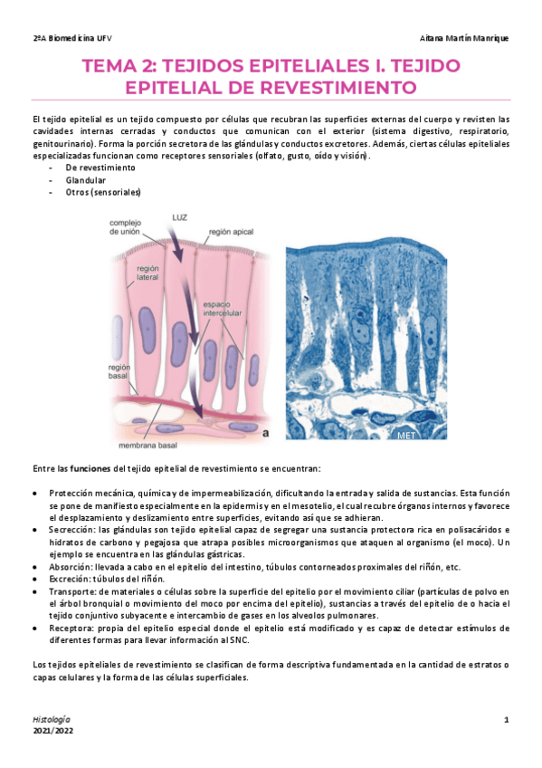 Miniatura del documento 2 Tejido epitelial de revestimiento