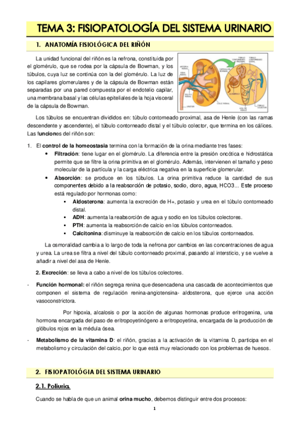 Miniatura del documento TEMA-3.pdf