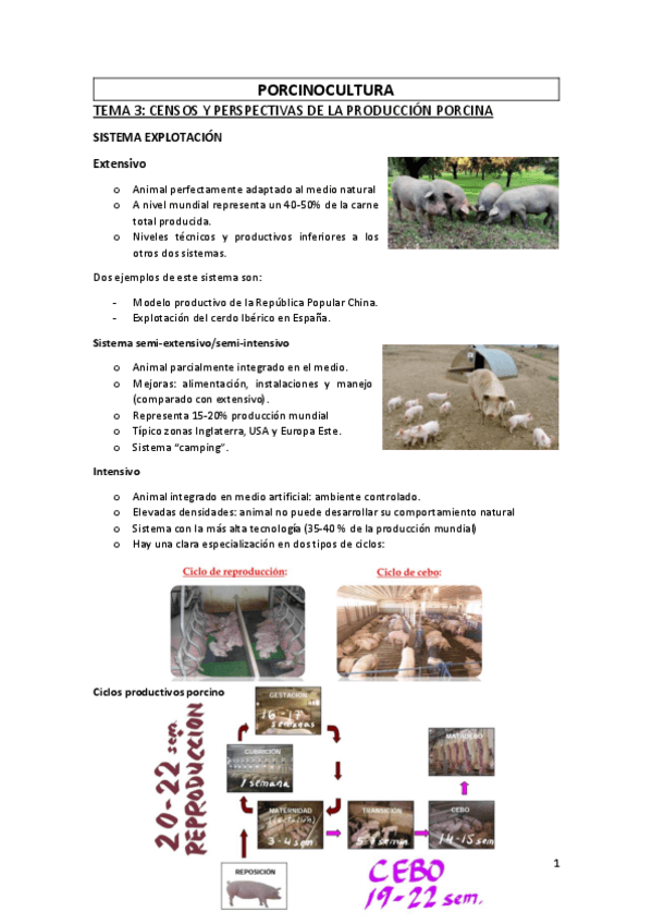 Miniatura del documento Apuntes-Porcinocultura.pdf