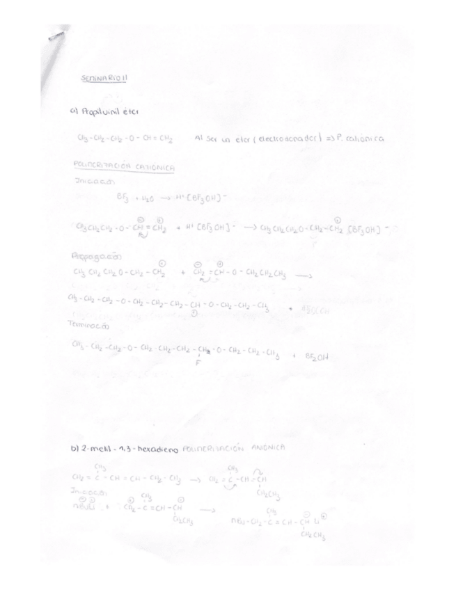 Miniatura del documento Seminario-2-Felipa.pdf