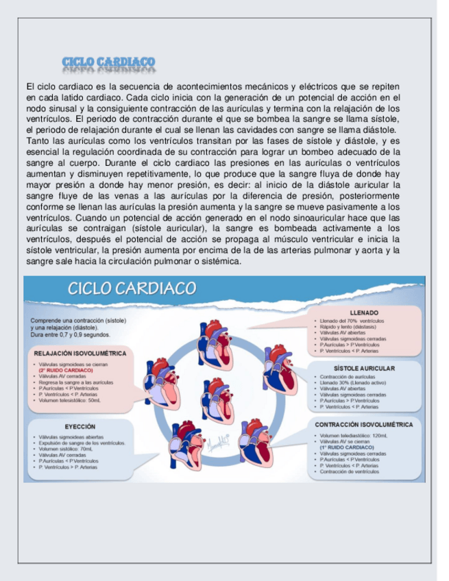 Miniatura del documento Ciclo-Cardiaco.pdf