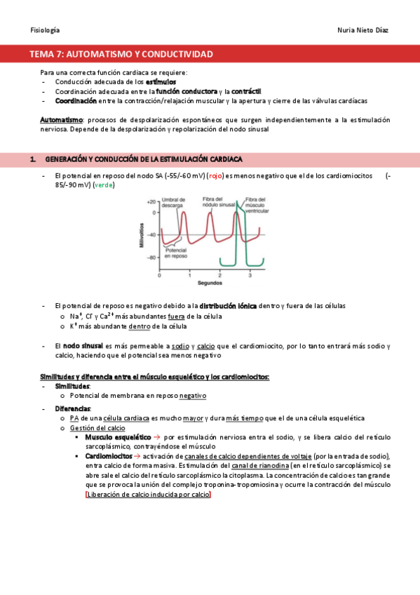 Miniatura del documento TEMA-7-Automatismo-y-conductividad.pdf