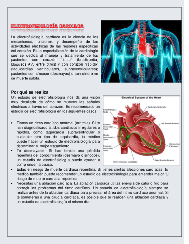 Miniatura del documento Electrofisiologia-cardiaca.pdf
